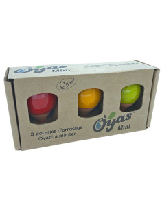 Pack 3 Oyas à planter Mini...