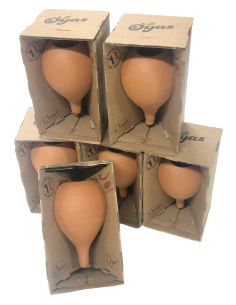 Pack 6 Oyas à planter Taille S