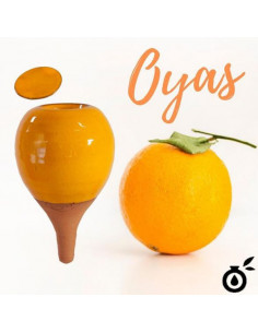 APS-MANDARINE-14-MANDARINE 2