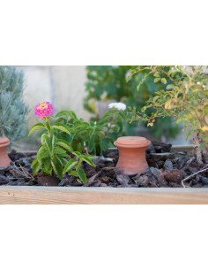 Oyas à enterrer Medium (M) 2