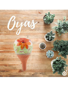 APS-CATHY-16-CATHY 2