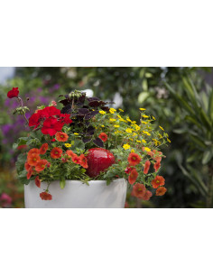 KIT_INT_COL-2-Kit interieur couleur 2