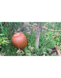 Pack 4 Oyas à planter Taille M 2